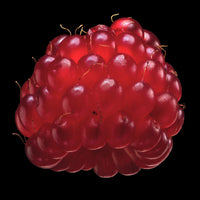 Wine Berry | Photo by Carolyn Thome