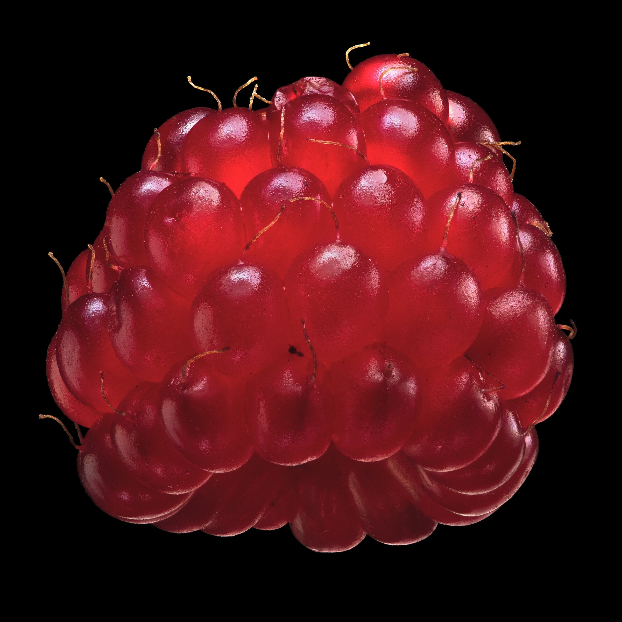 Wine Berry | Photo by Carolyn Thome