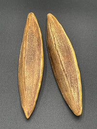 Seeds of Change, Grouping 8