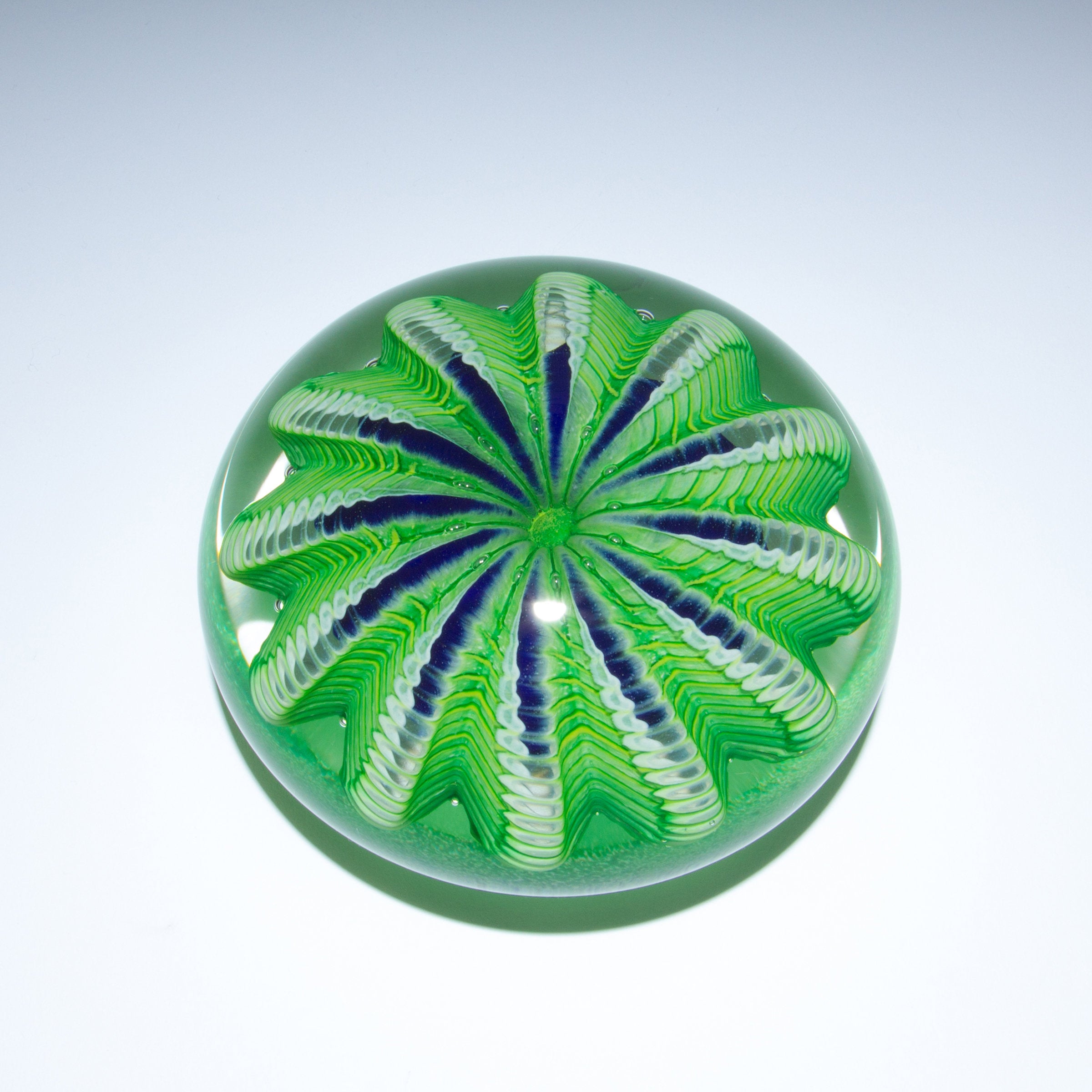 Sea Urchin