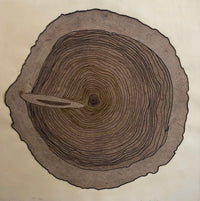 Tree Rings, Variable Edition 1/25