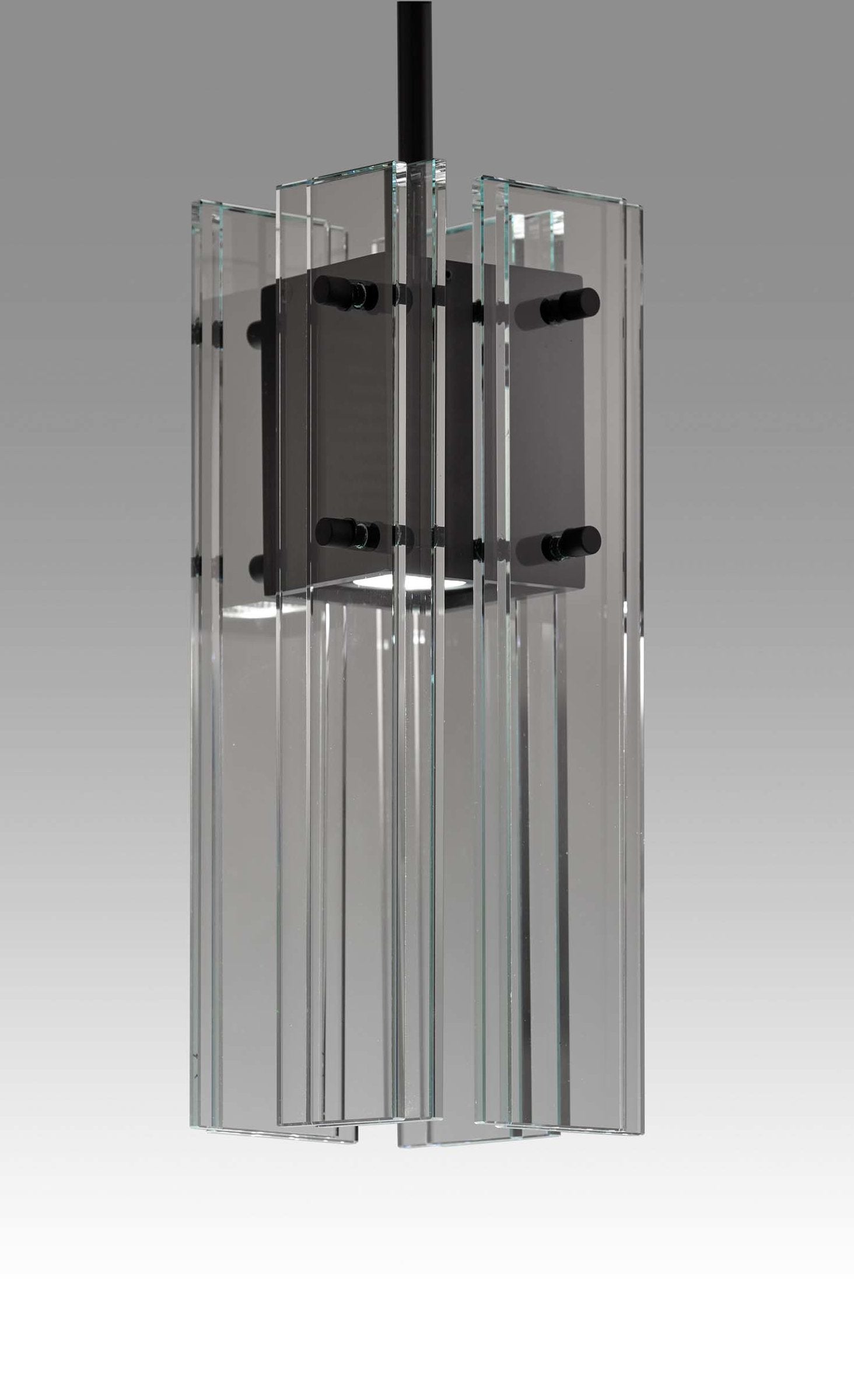 Clear with Black Housing