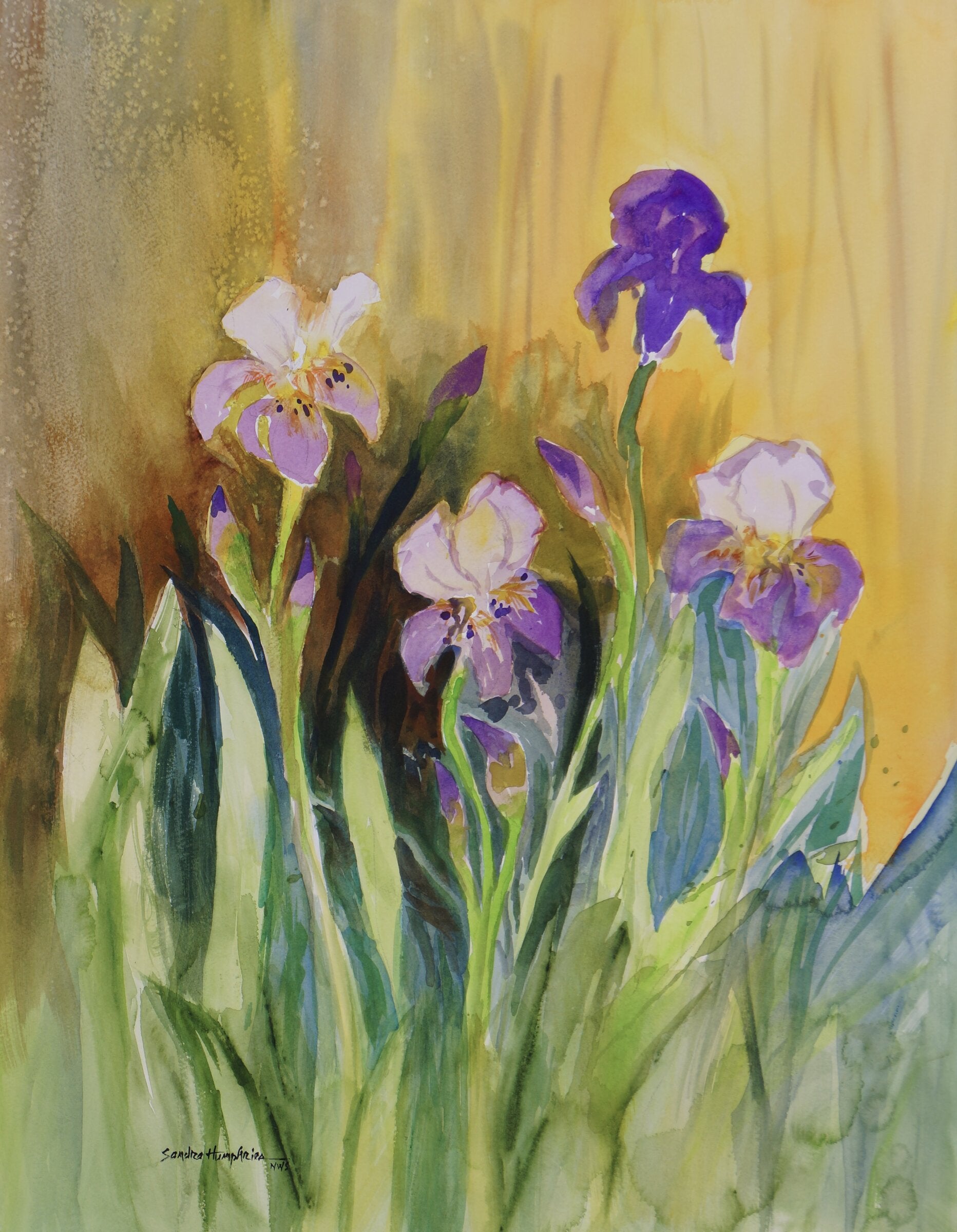 Spring Garden 8