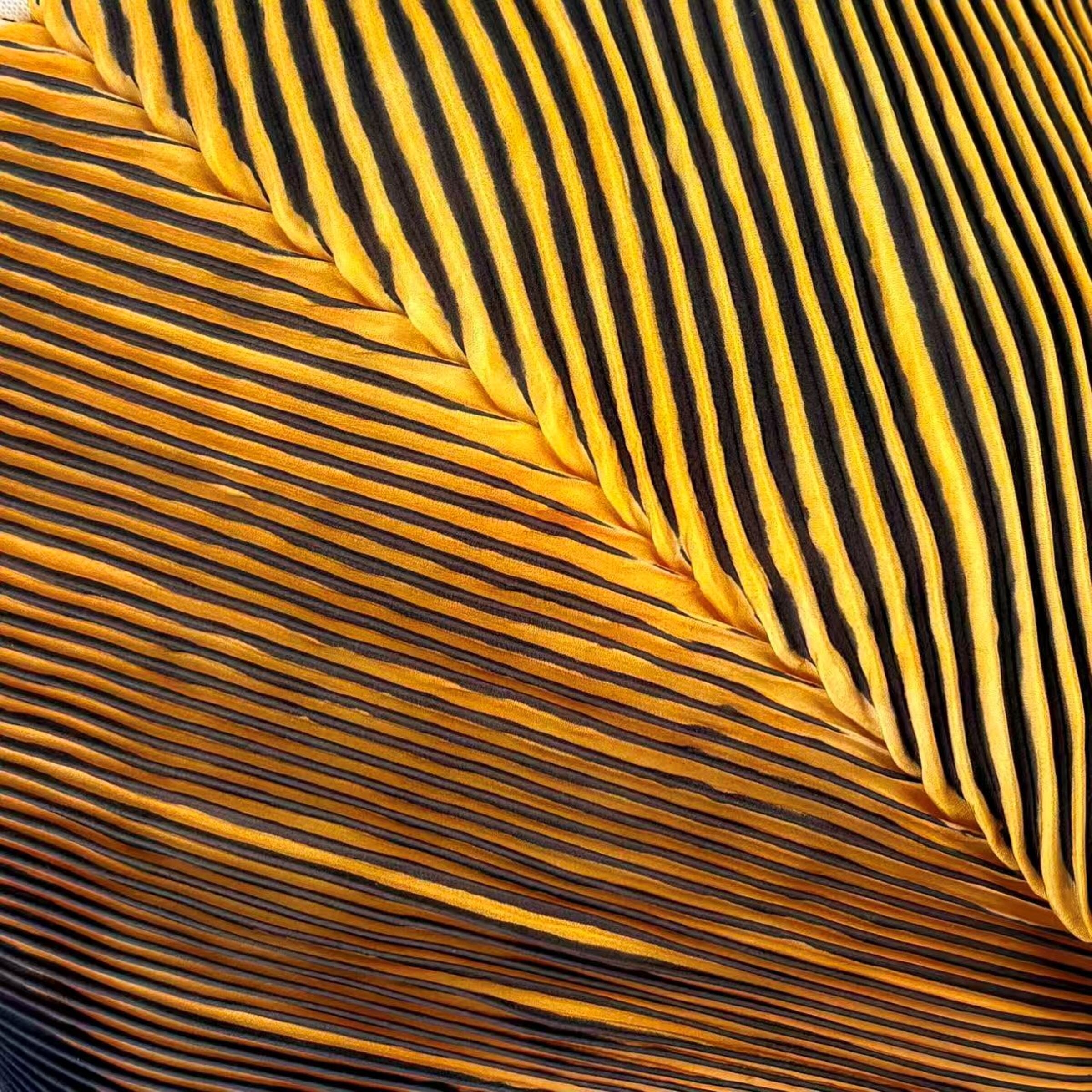 Black/Gold