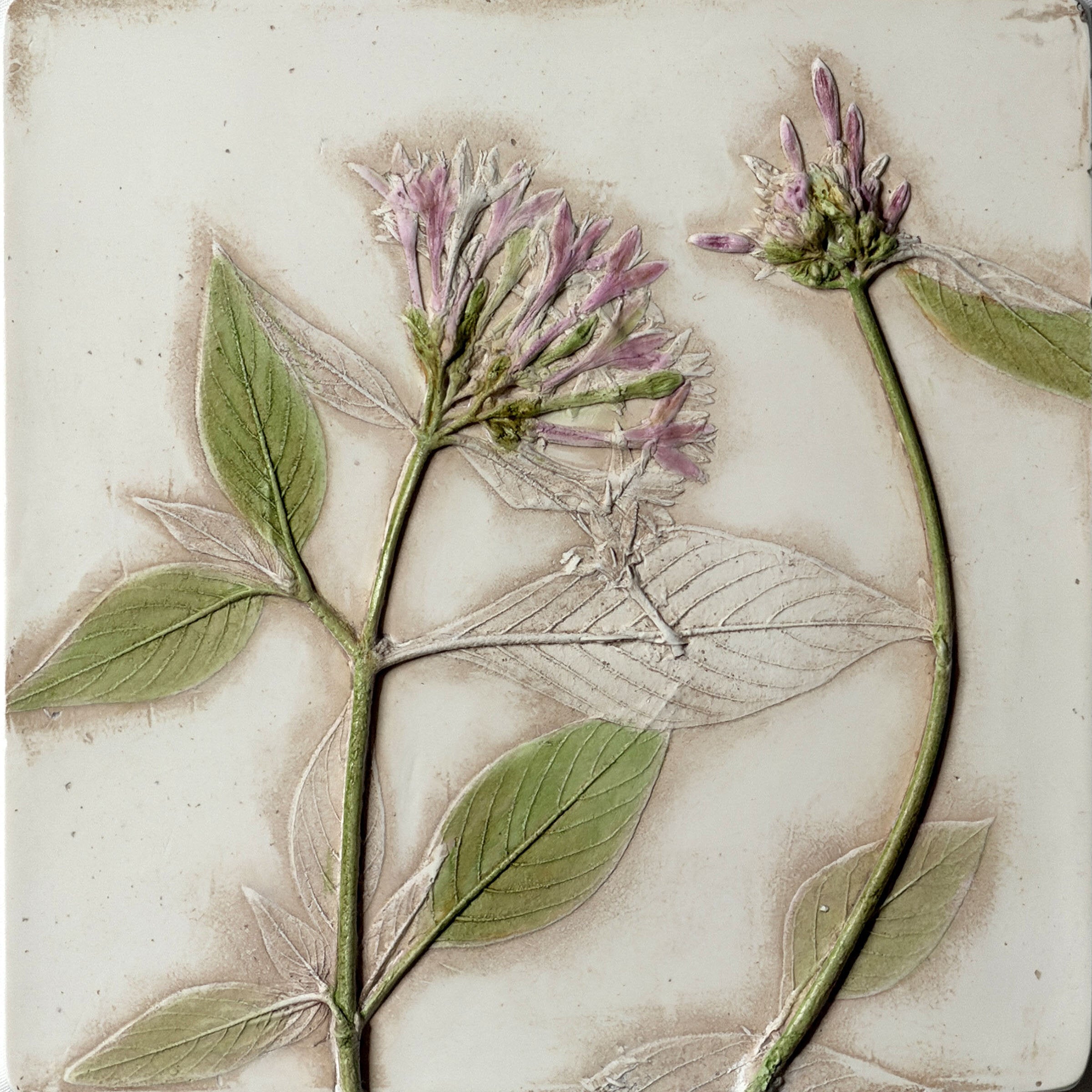 Pink Garden Pentas Flowers Tile