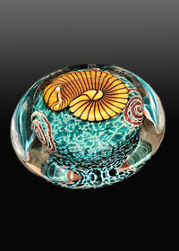 Gold Nautilus on Sea Foam