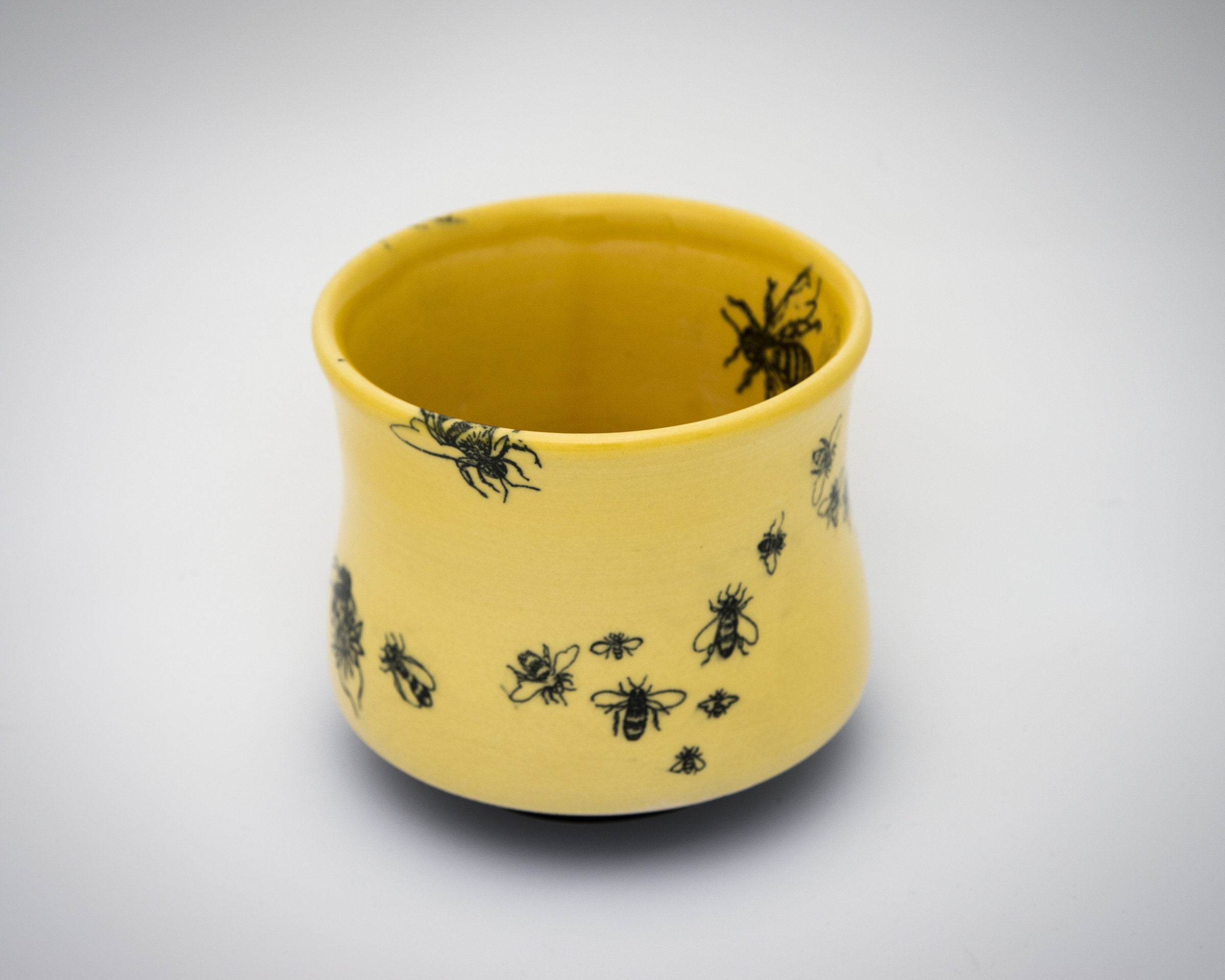 Honeybee Tea Tumblers and Dessert Plates