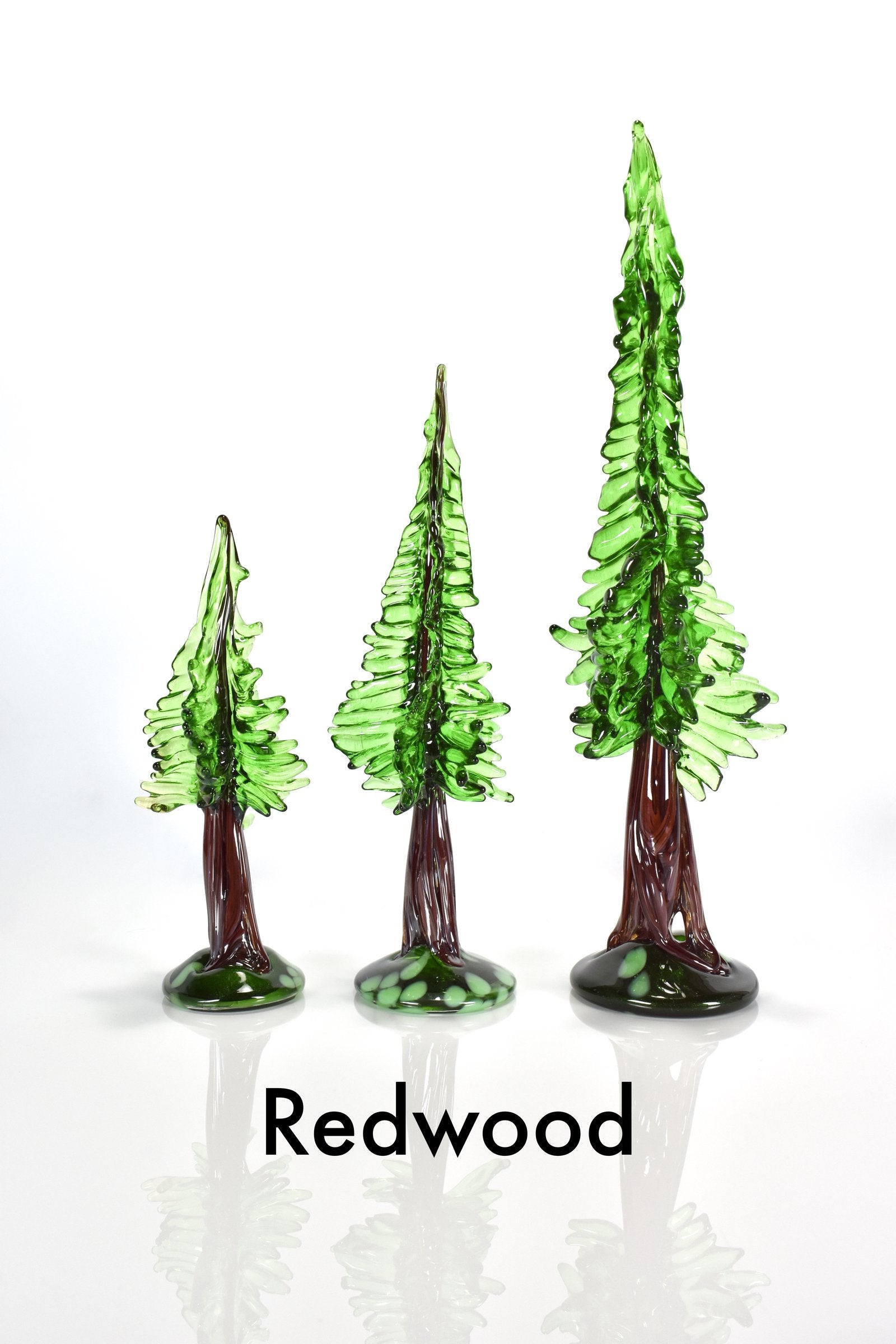 redwood