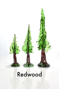redwood