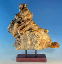 Buckeye Burl Mounted Slice