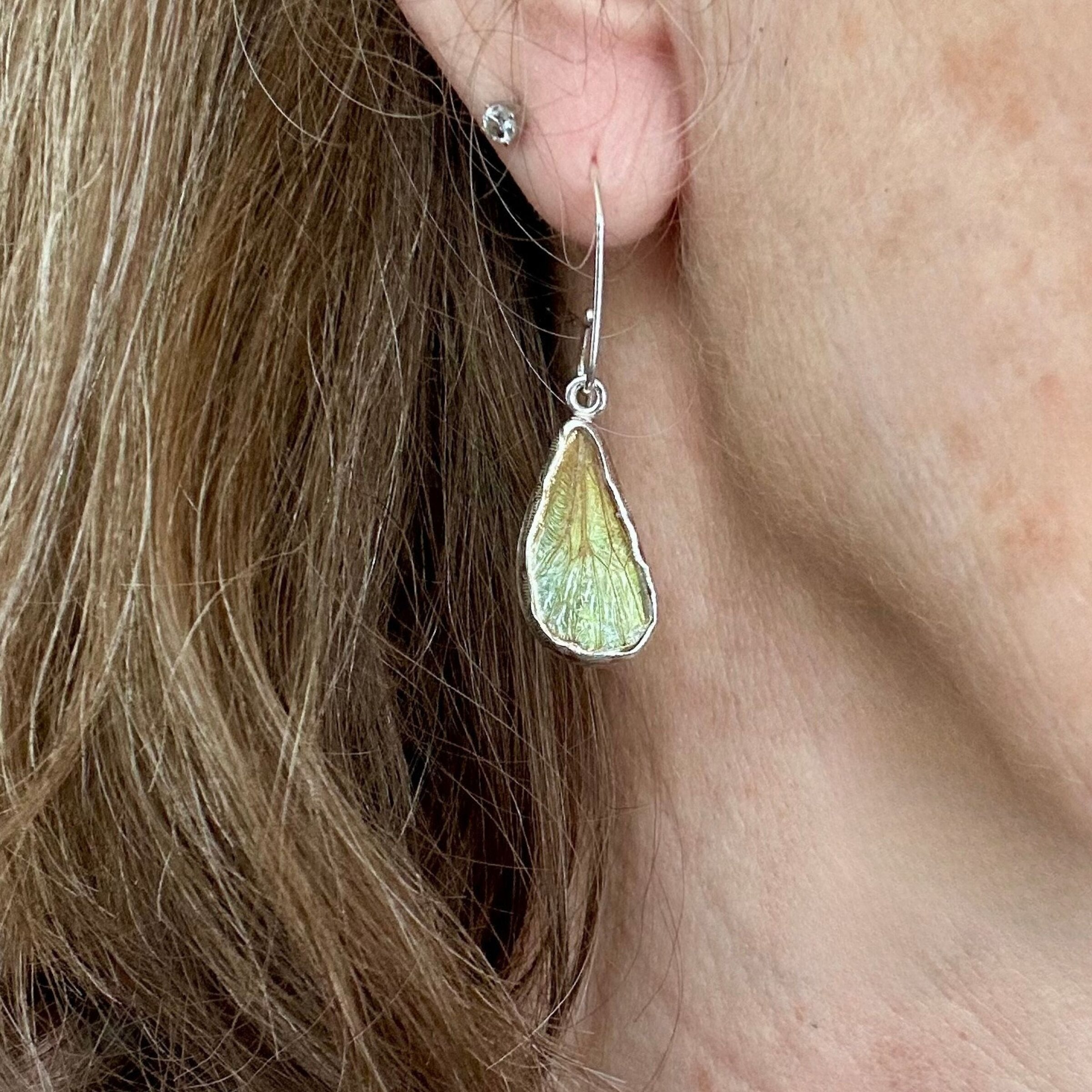 Cicada Wing Earrings