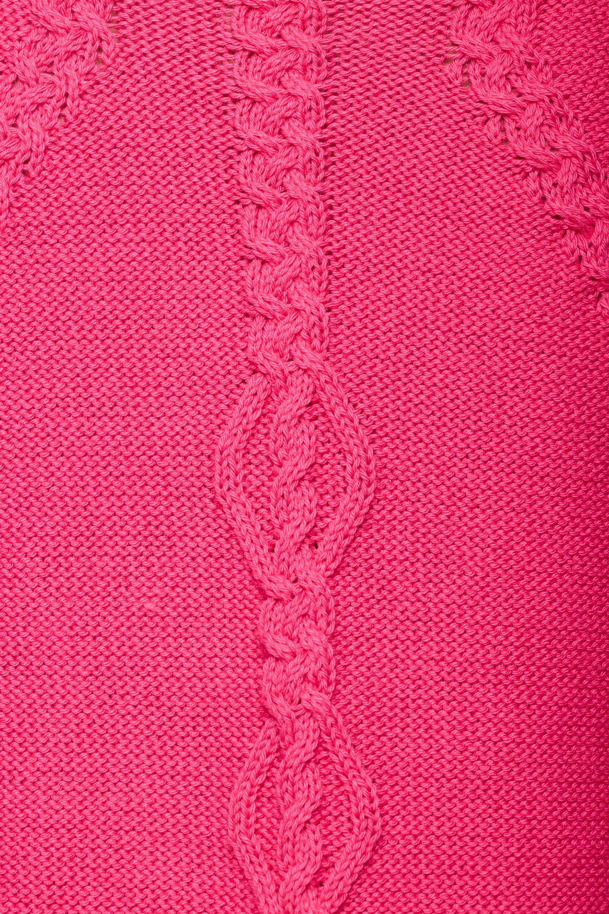 Winter Fuchsia