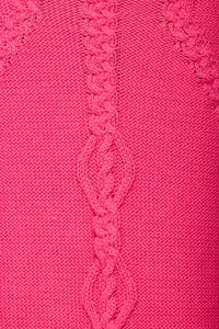 Winter Fuchsia