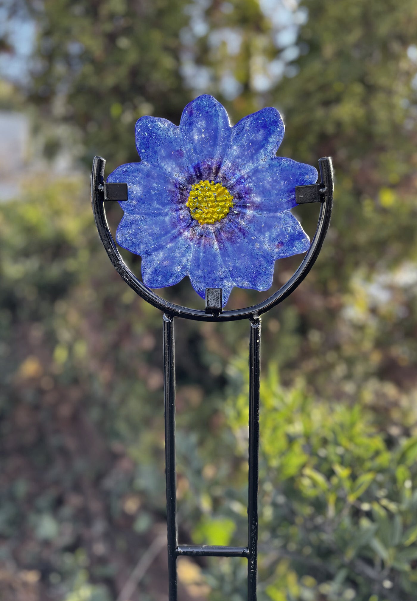 Corn Flower