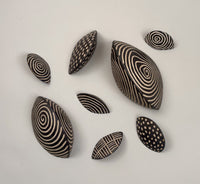 Patterned Chitons