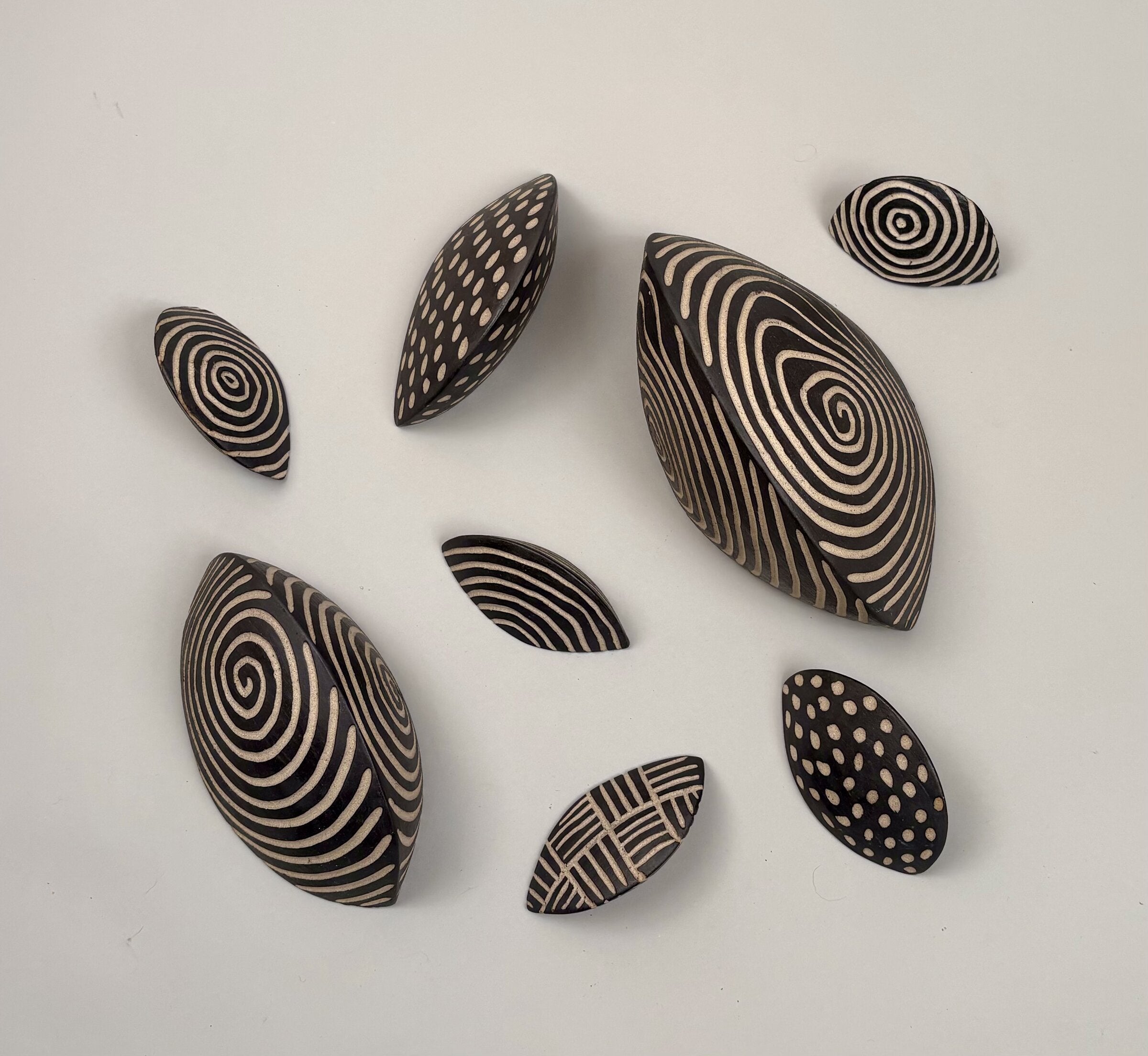 Patterned Chitons