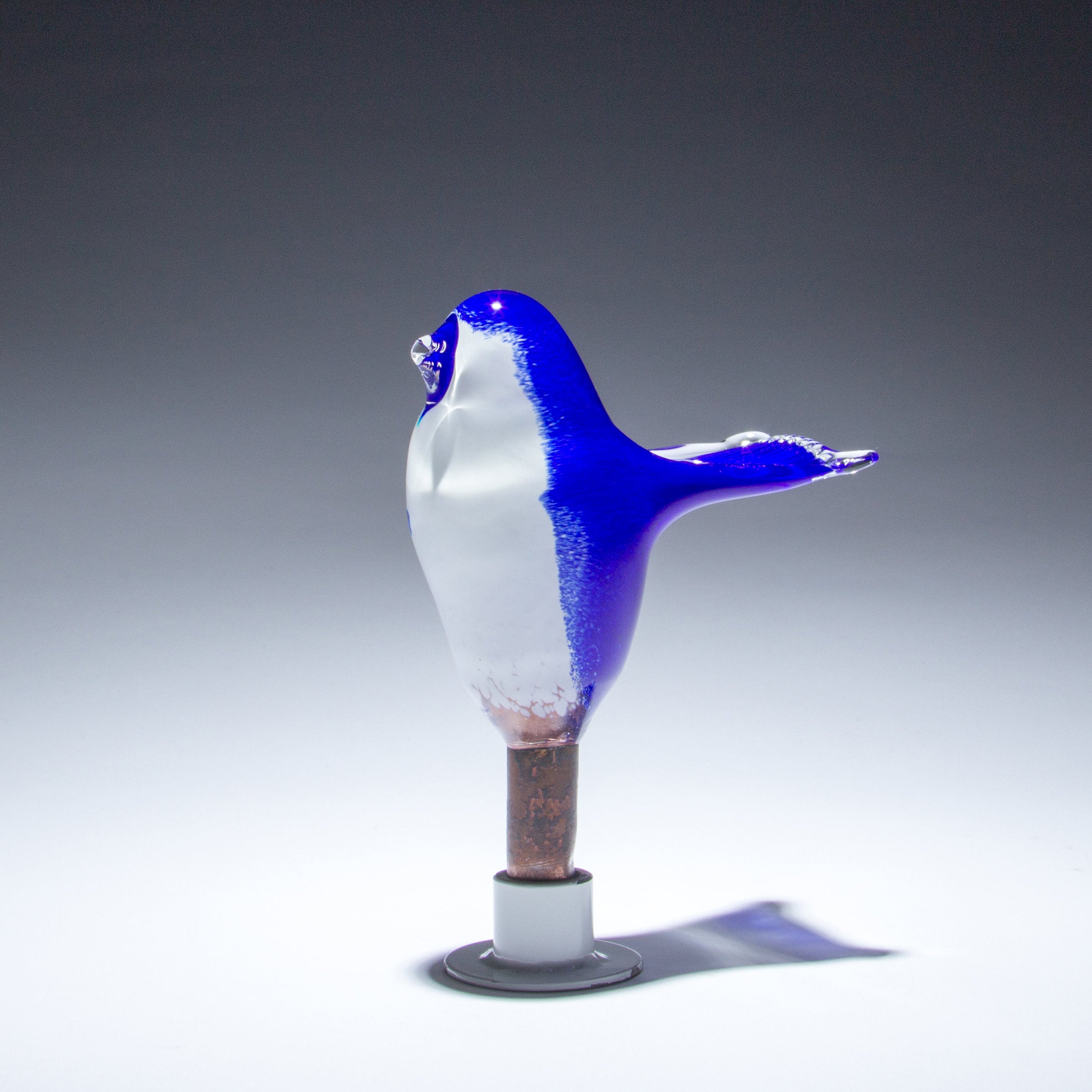 The Joyous Bluebird 