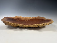 Red Mallee Eucalyptus Burl Bowl II