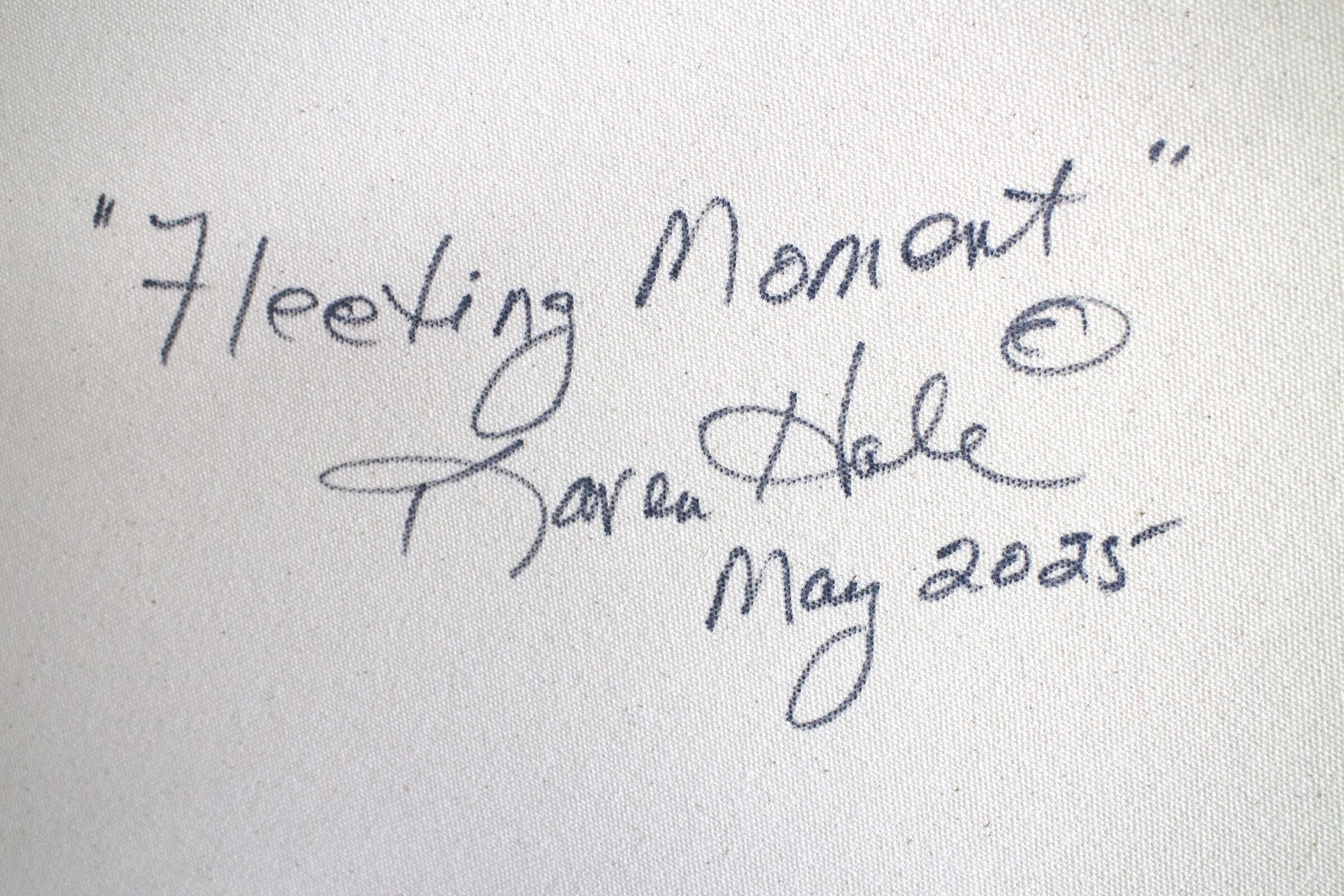 Fleeting Moment