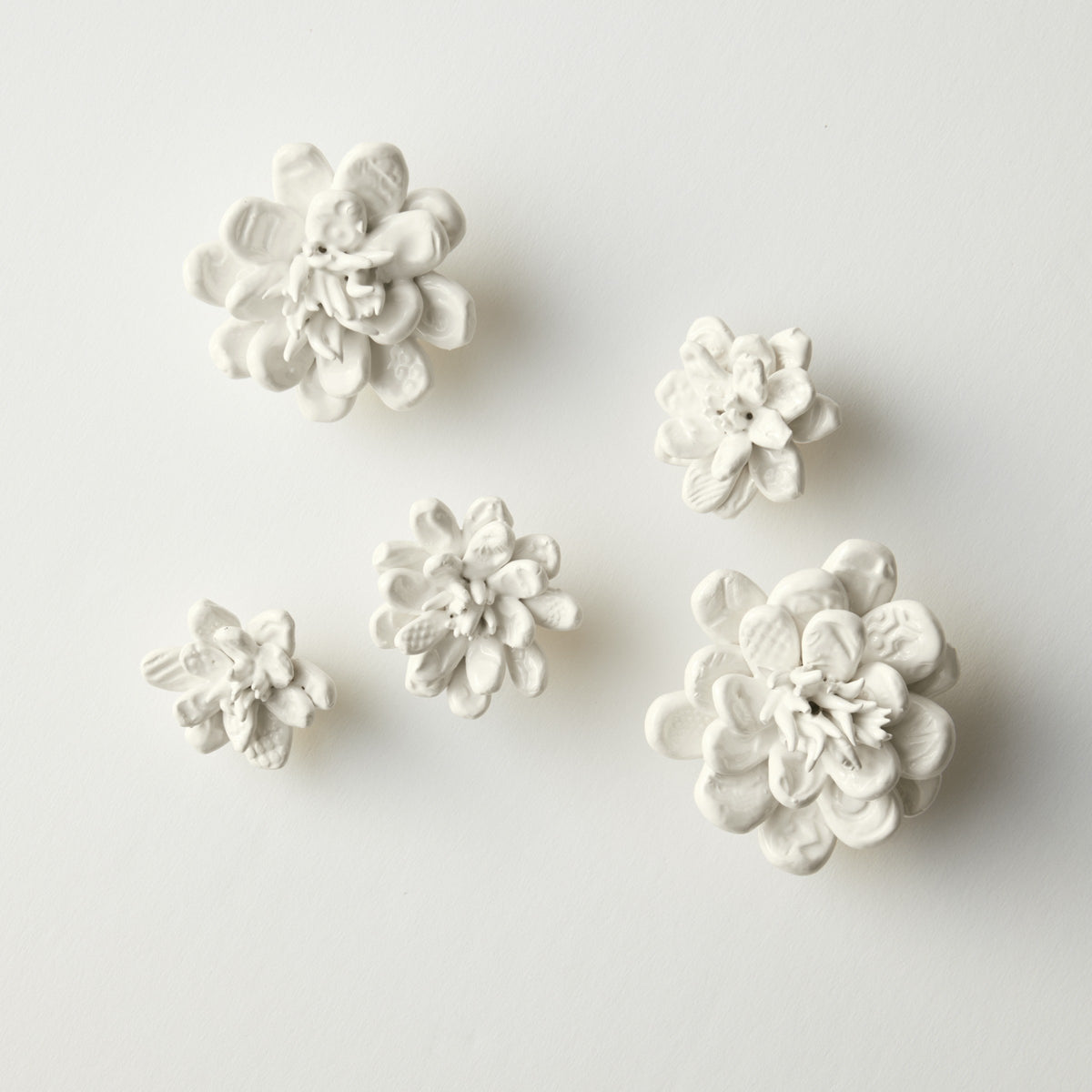 Set of 5 blooms