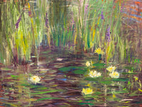 Jewels of the Pond