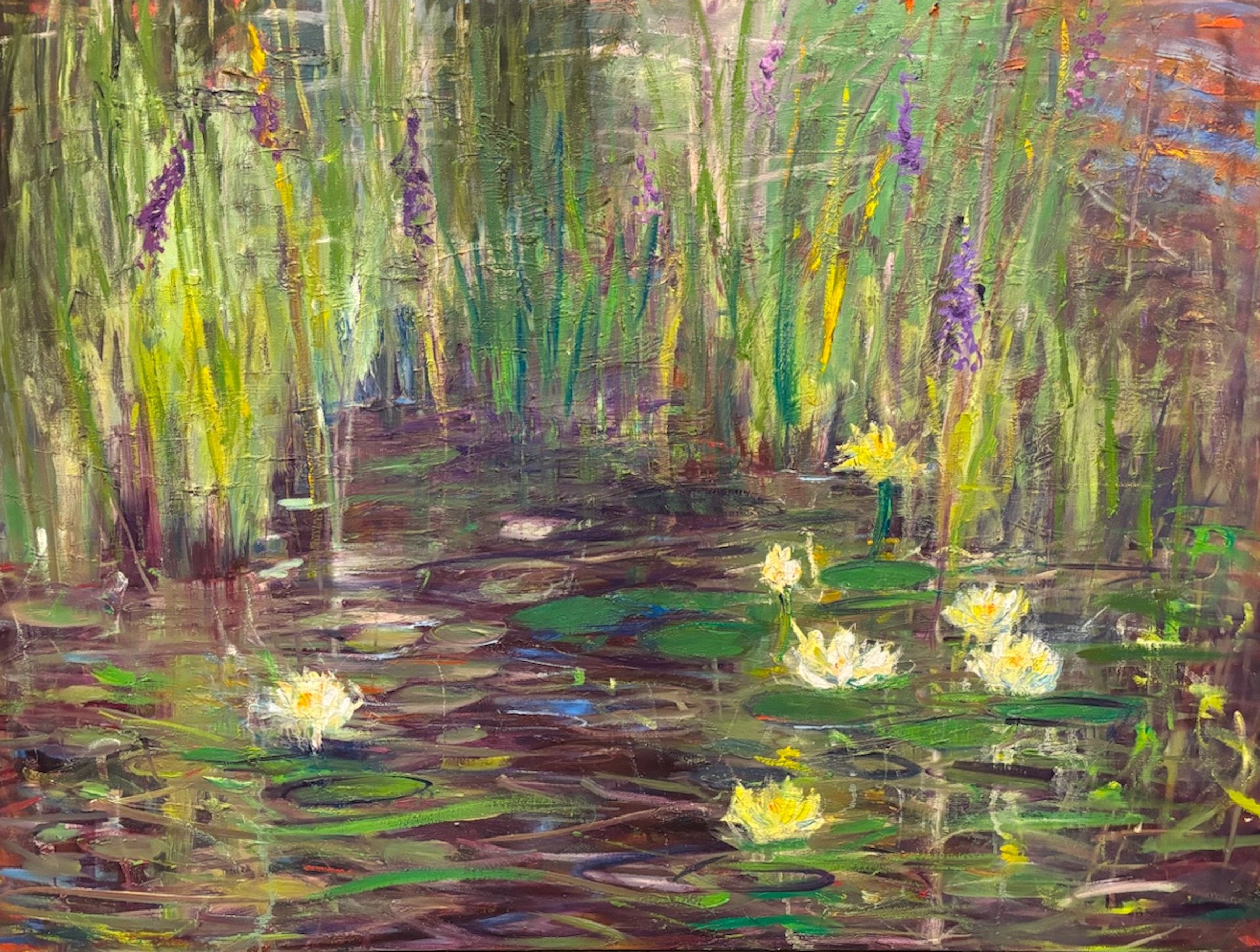 Jewels of the Pond