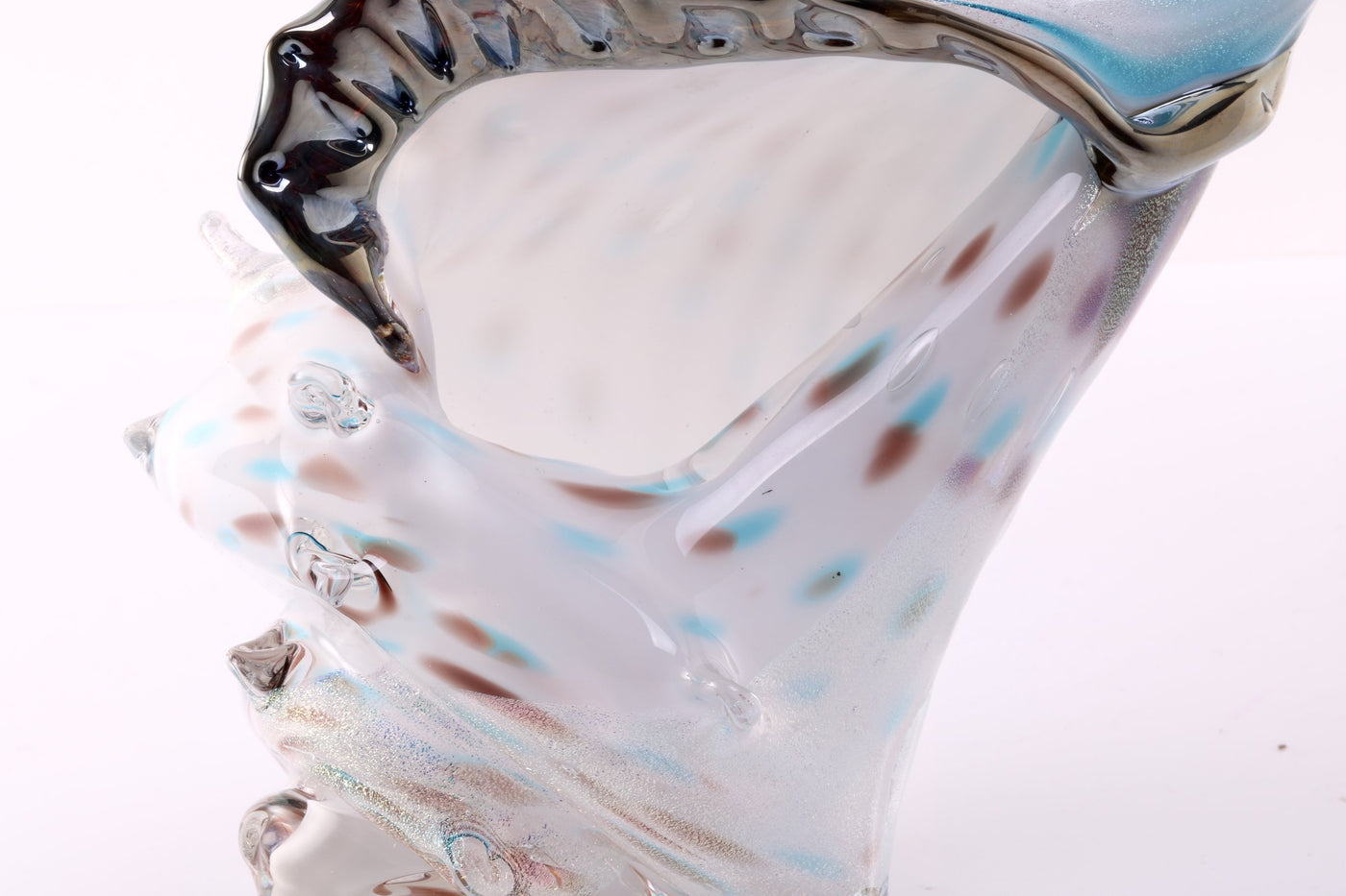 Atlantis Sea Shell