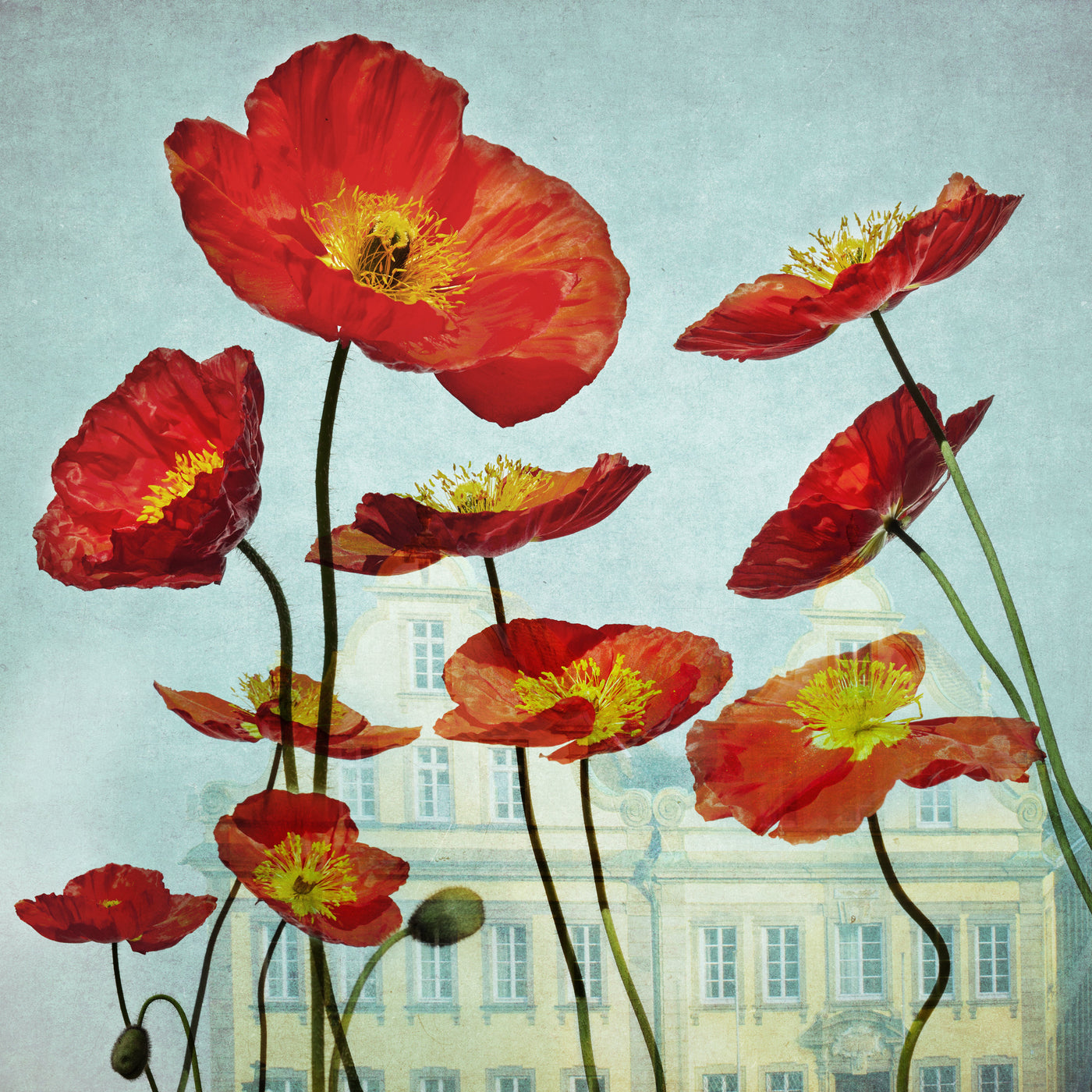 FlowerPower 2