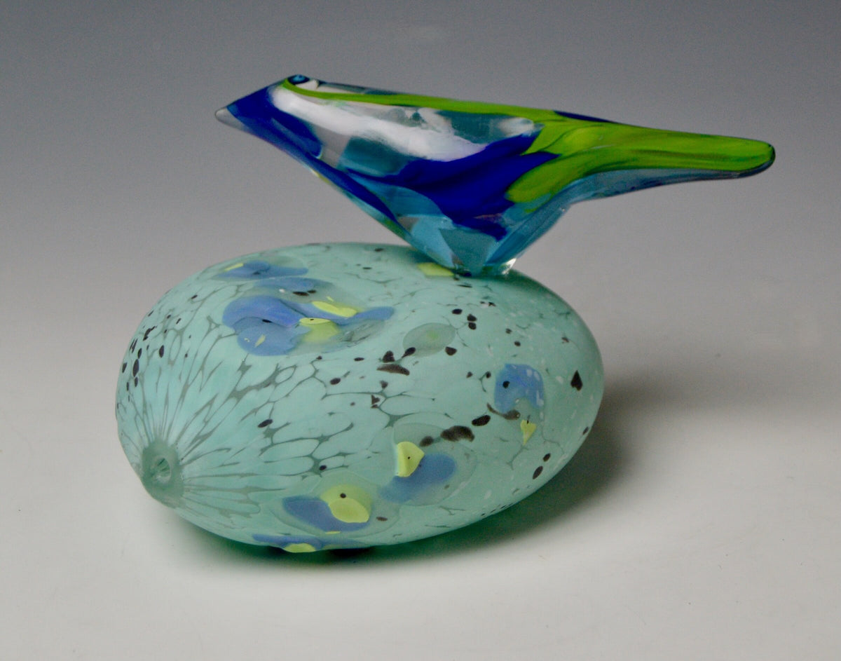 Blue Green Passerine on Rock