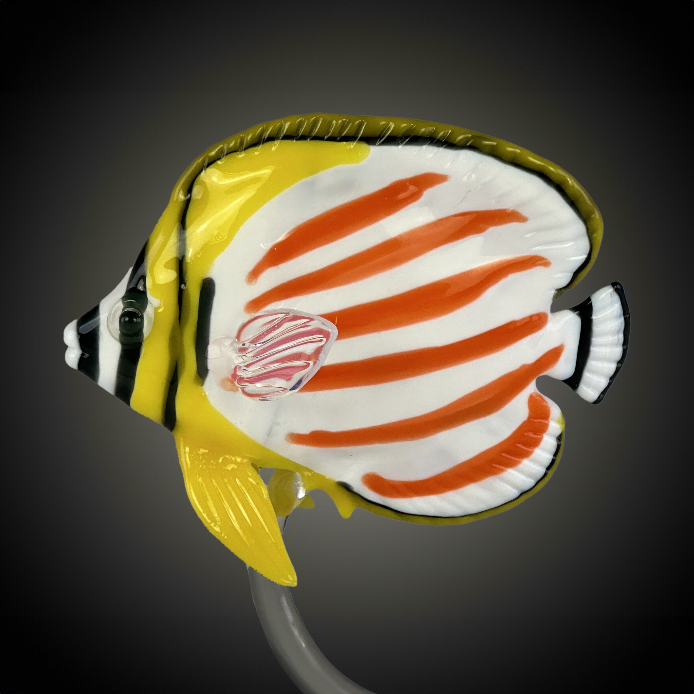 Ornate Butterflyfish