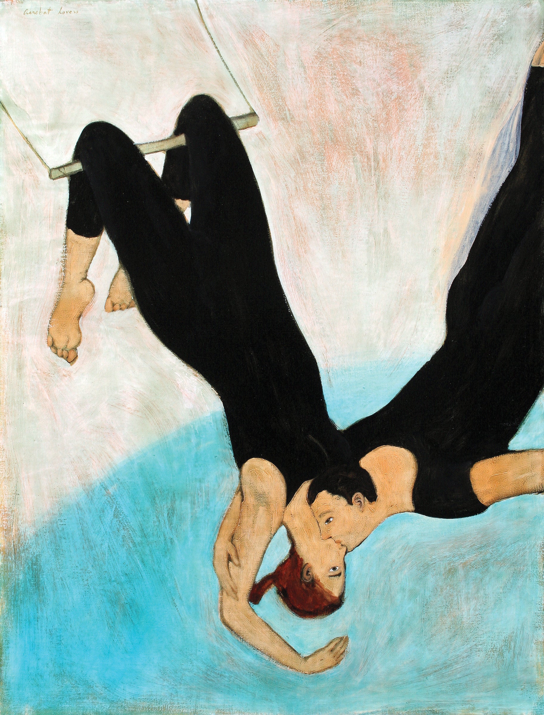 Acrobat Lovers