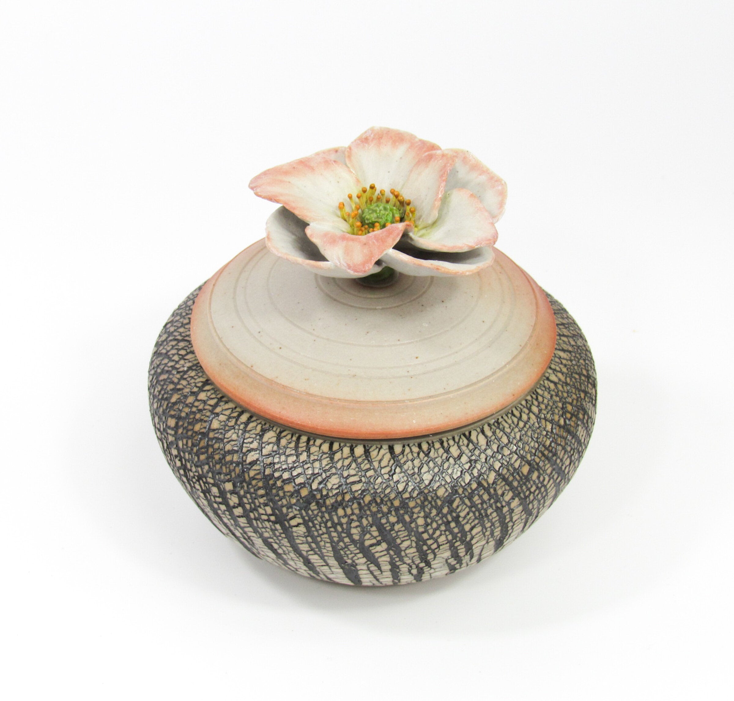 Anemone Blossom