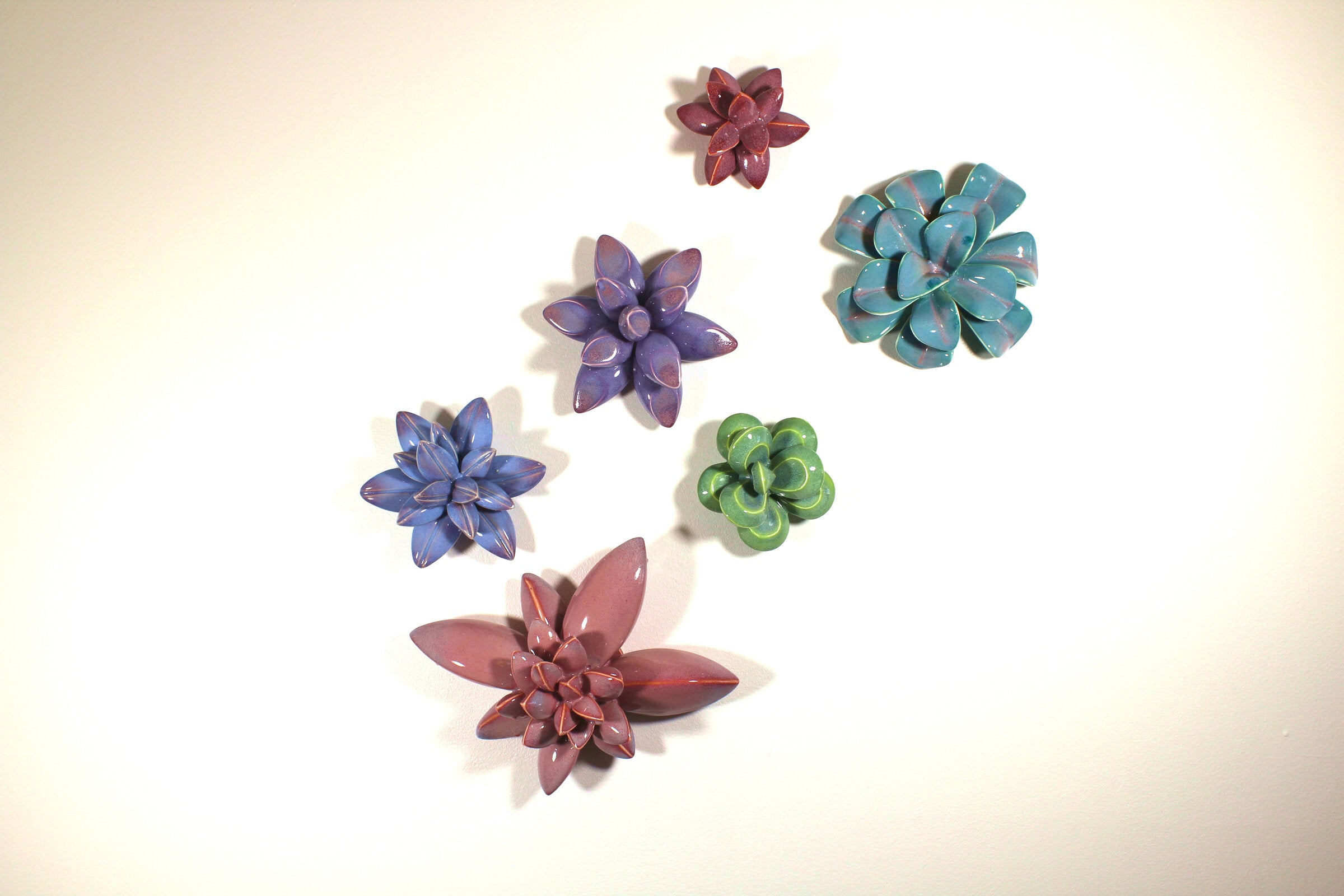 Vivid Spring Wallflowers
