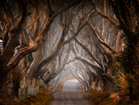 Enchanted