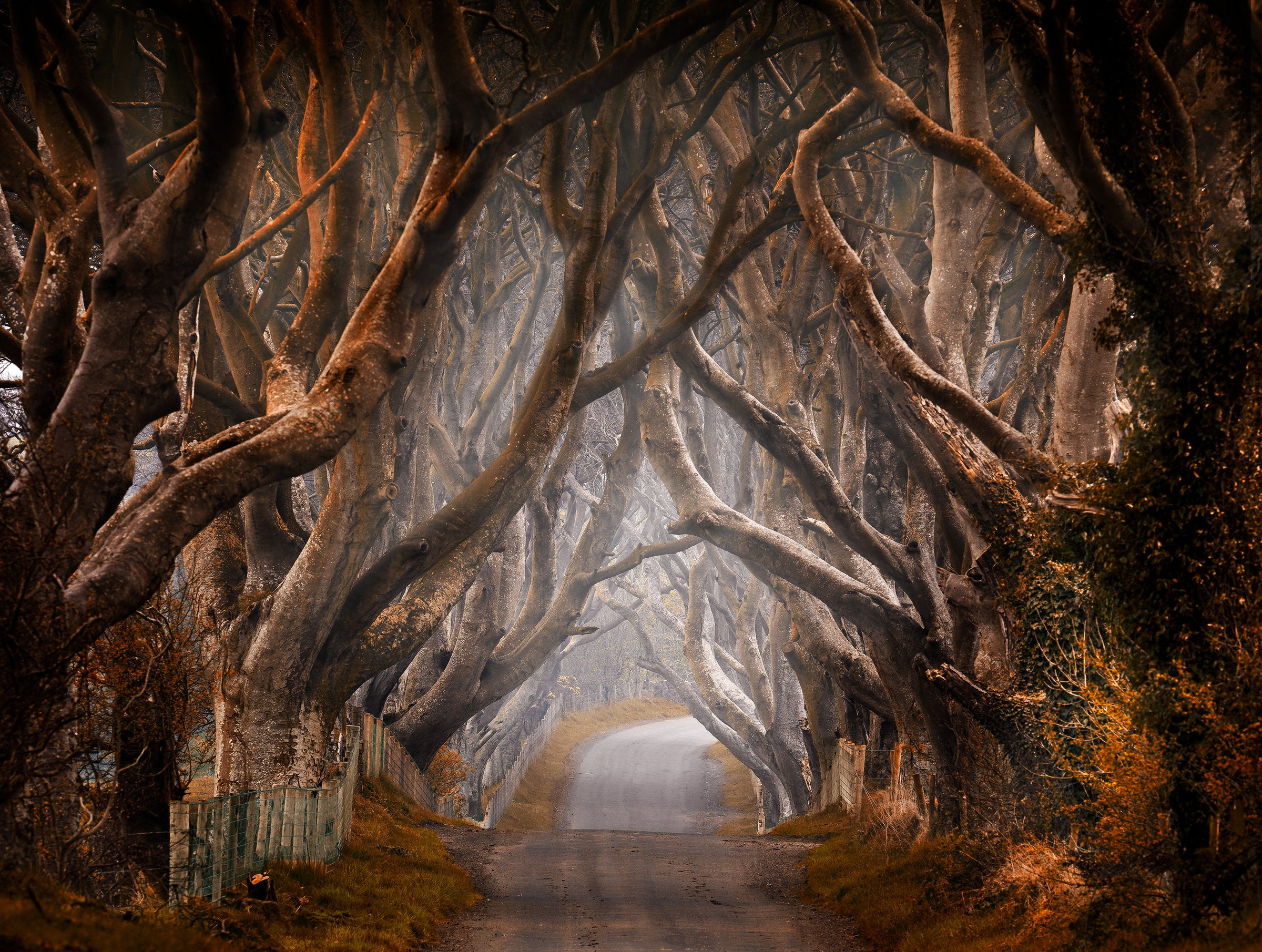 Enchanted