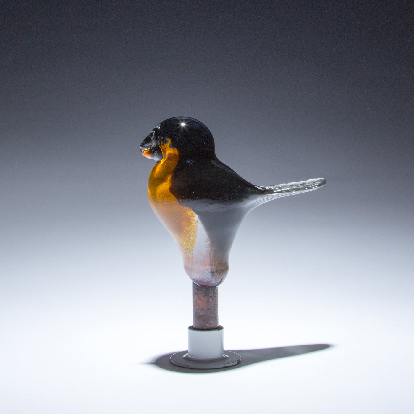 The Inspiring Robin 