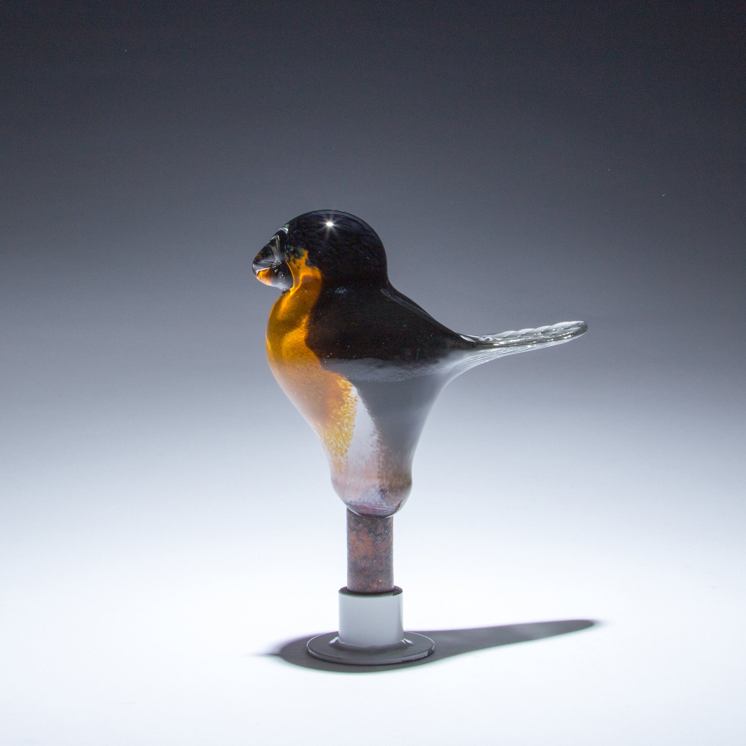 The Inspiring Robin 