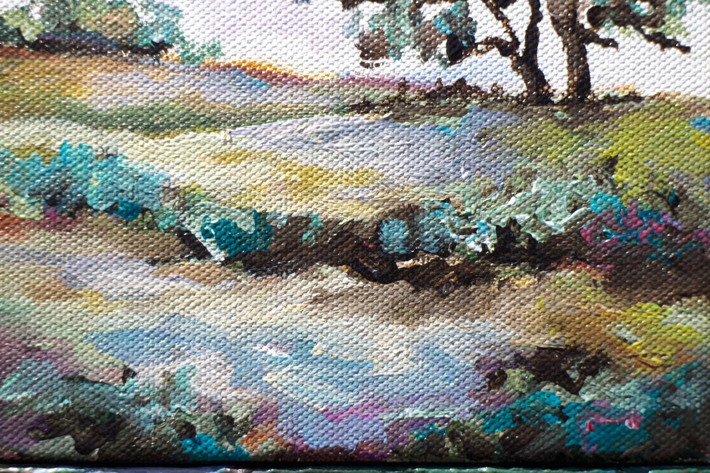 Rural View