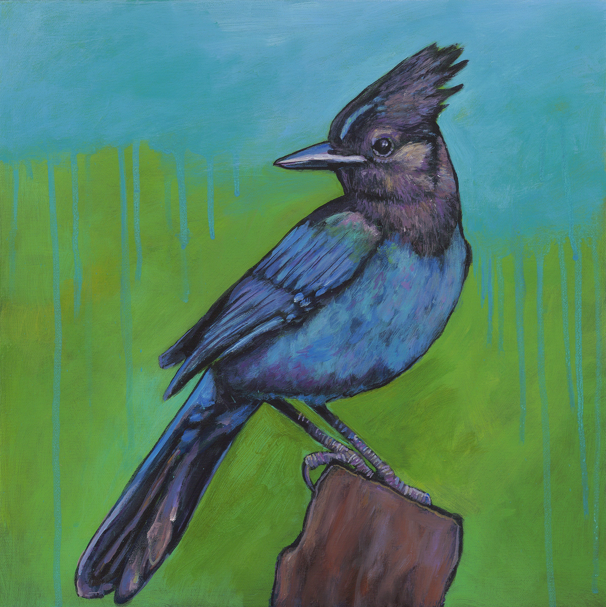 High Country Dweller