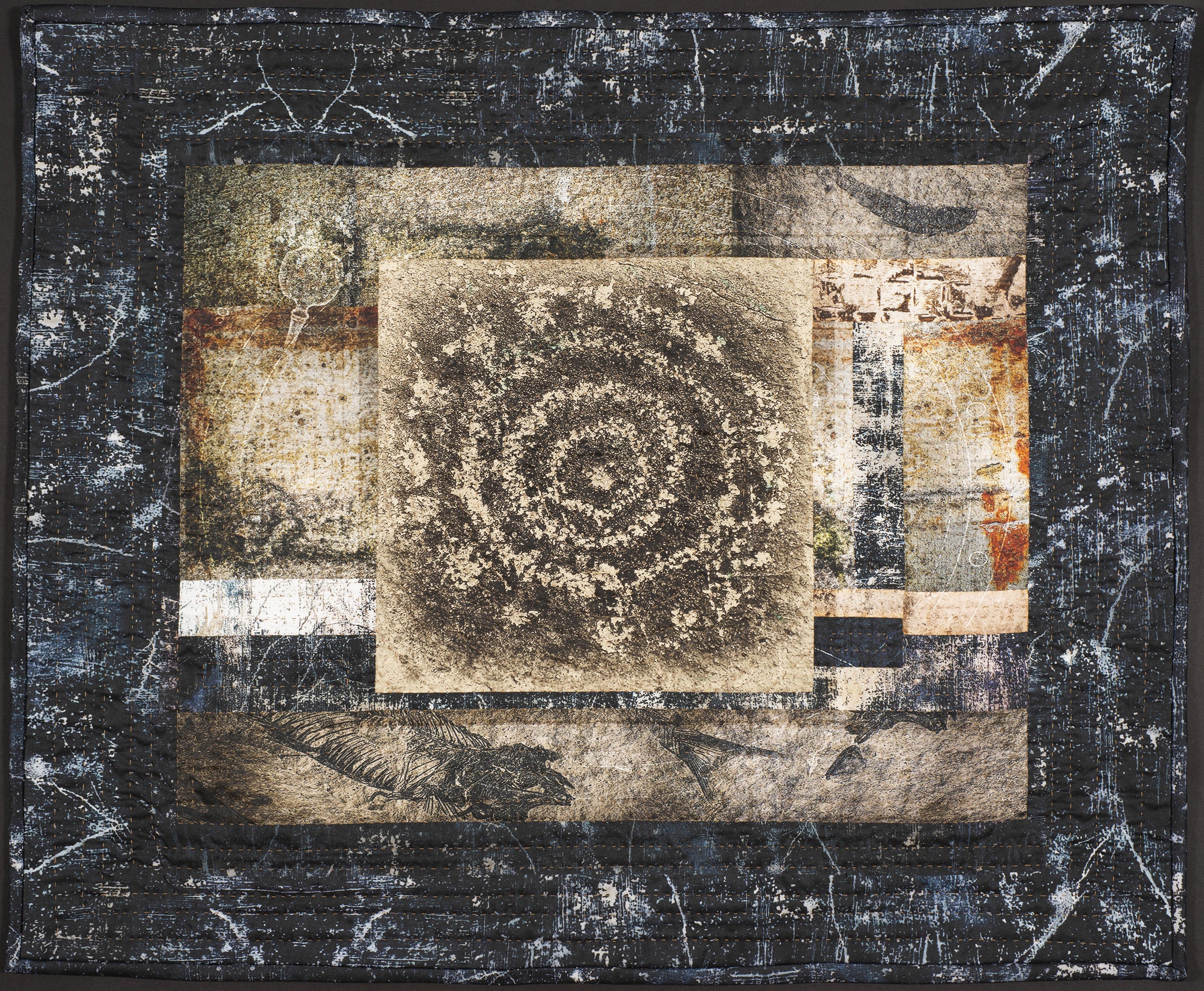 Petroglyph and Fossils