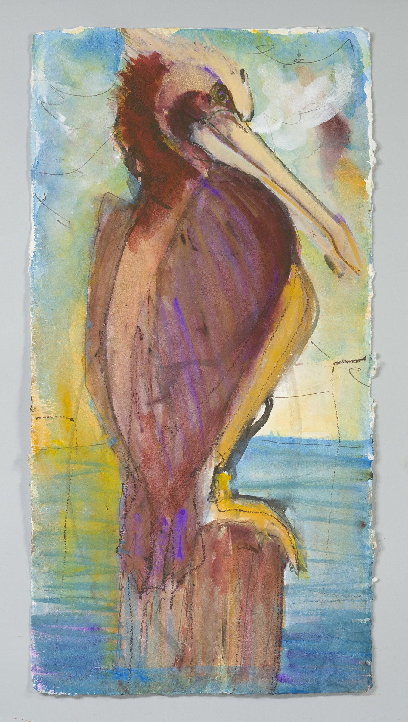 Brown Pelican on Post/Yellow