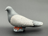 Pigeon Looking Left