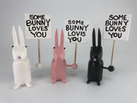 Some Bunny Loves You