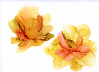 Saffron Blooms