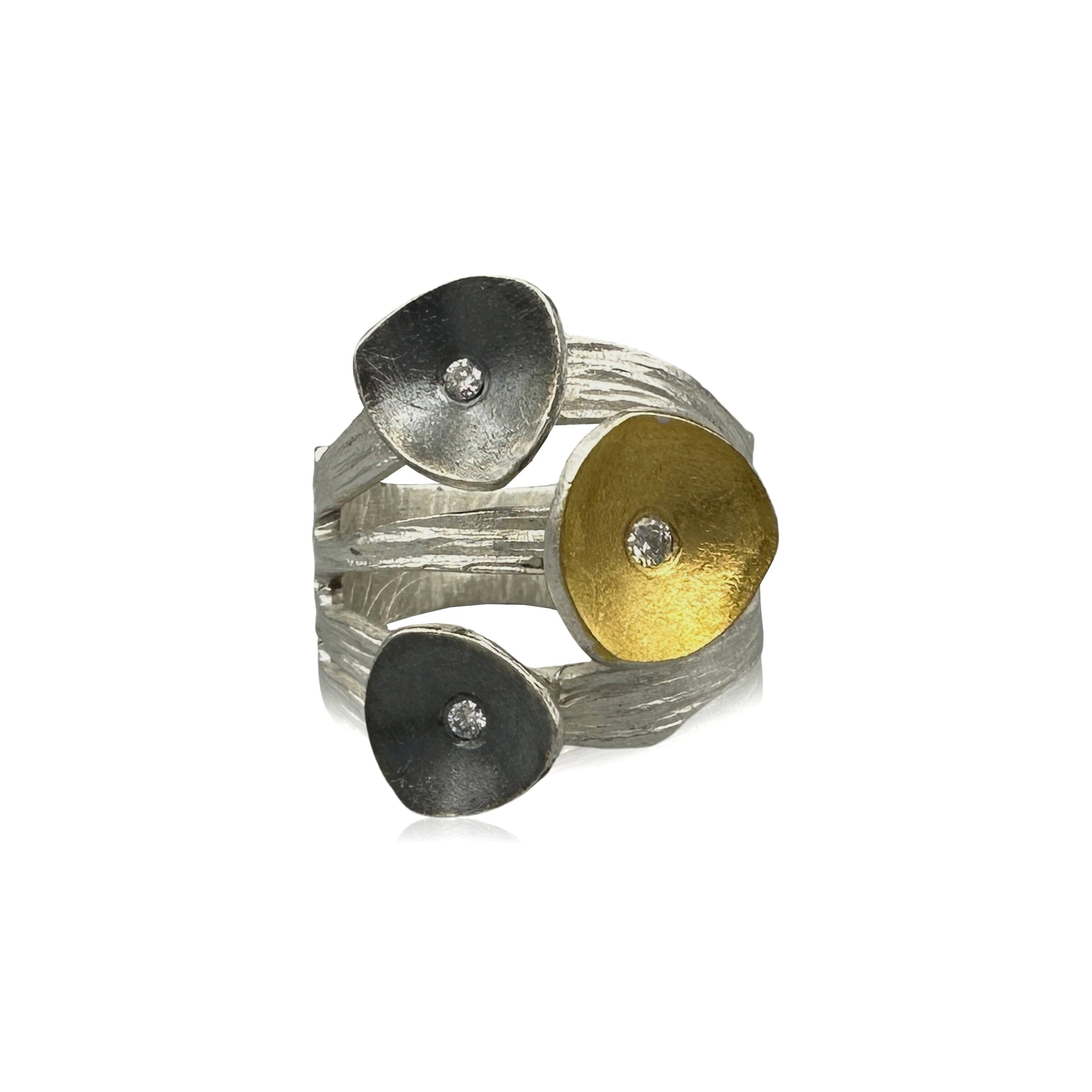 Bright Silver Band