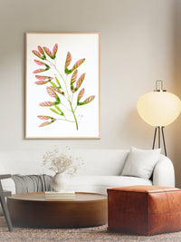 Love Helicopter Seed Pods