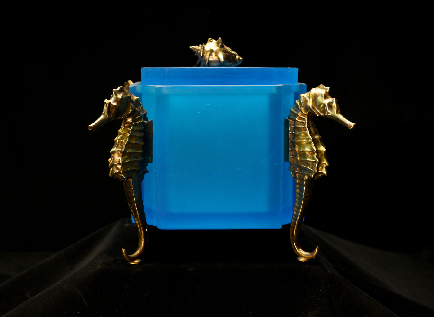 Seahorse Box