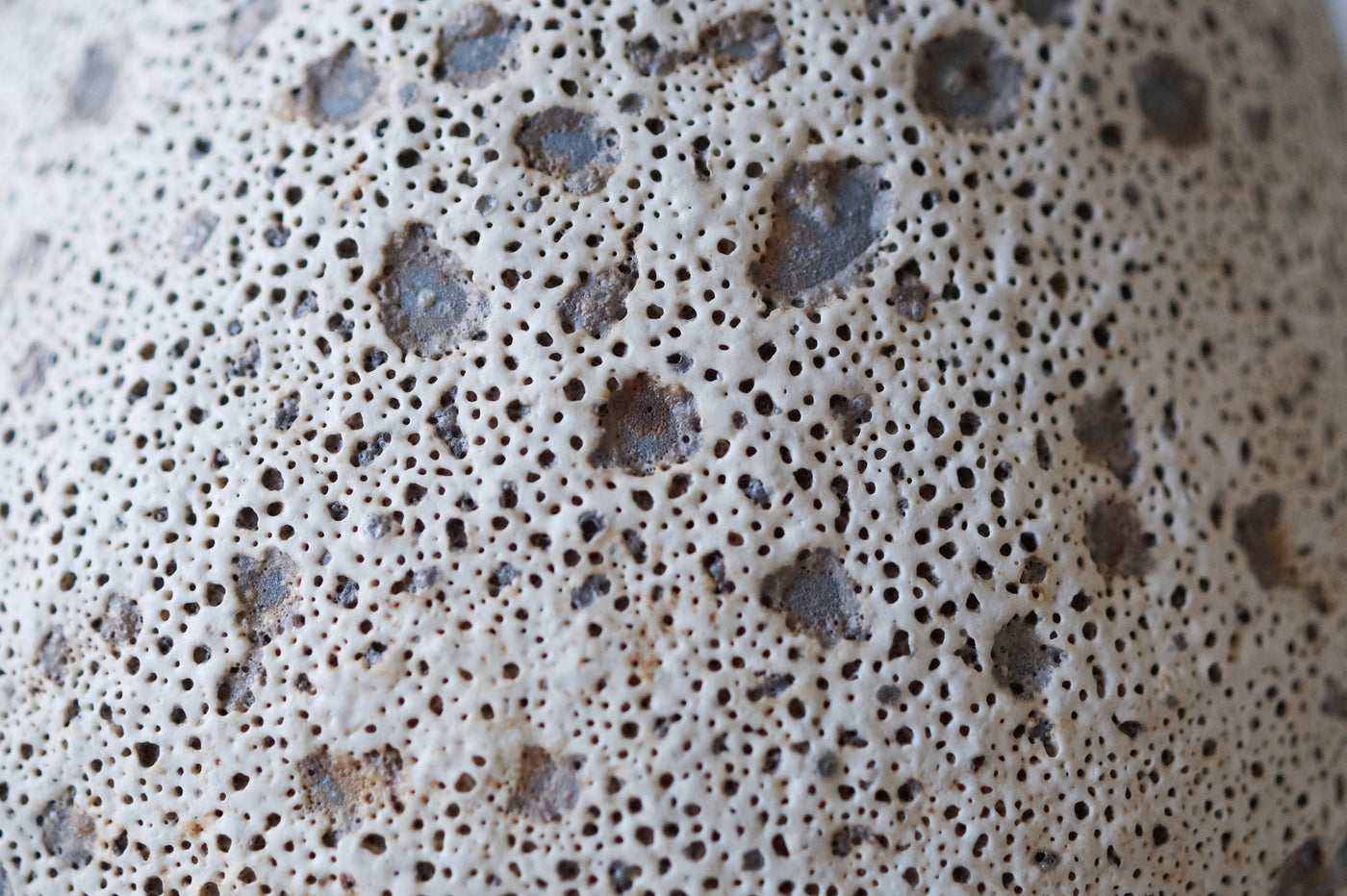 Coral Cluster Black Sea Porcelain Vessel