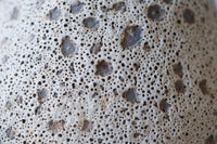 Coral Cluster Black Sea Porcelain Vessel