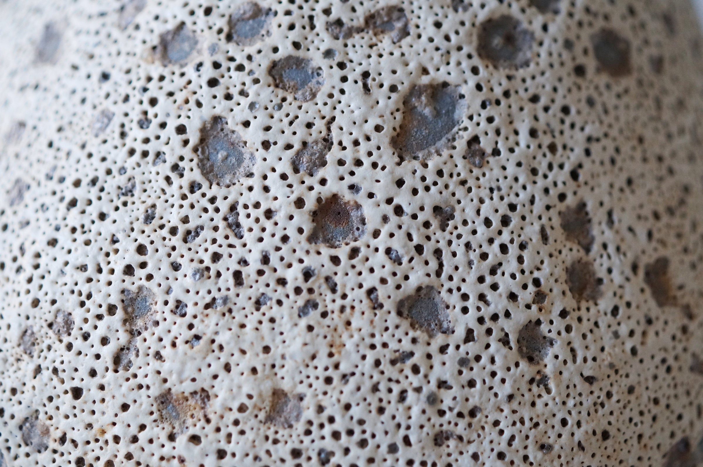 Coral Cluster Black Sea Porcelain Vessel